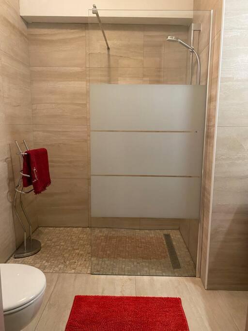 Charmant Appartement Renove Au Coeur Du Village Saint-Martin-Vésubie Buitenkant foto